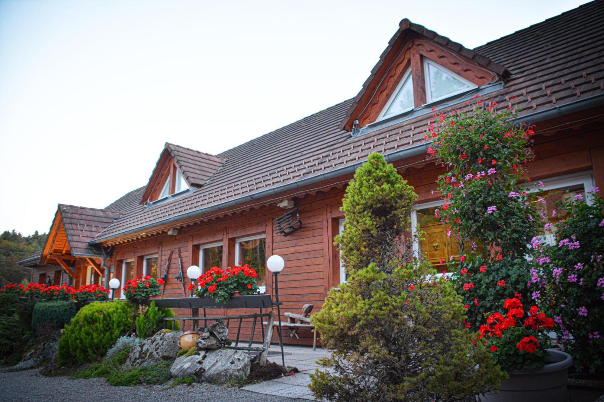 Logis Hotel Restaurant La Petite Auberge Alsace Le Hohwald Ngoại thất bức ảnh